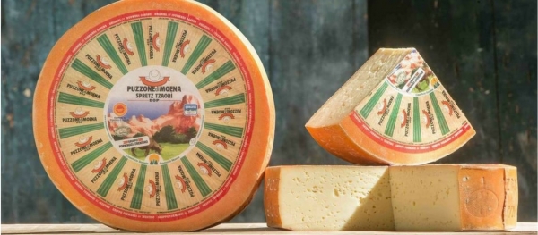 Il Puzzone di Moena: odori intensi per un formaggio d'autore