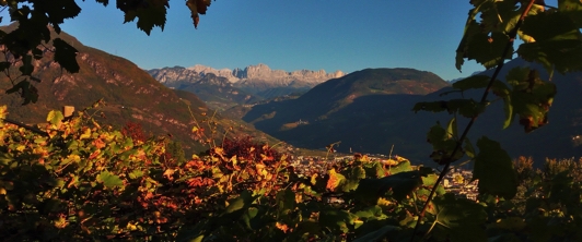 A Bolzano la sorpresa dei vitigni autoctoni italiani