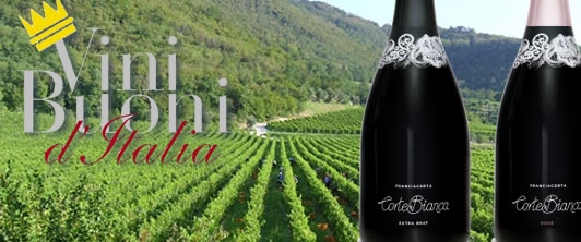 Ecco i migliori vini d'Italia secondo Vini Buoni del Touring 2014